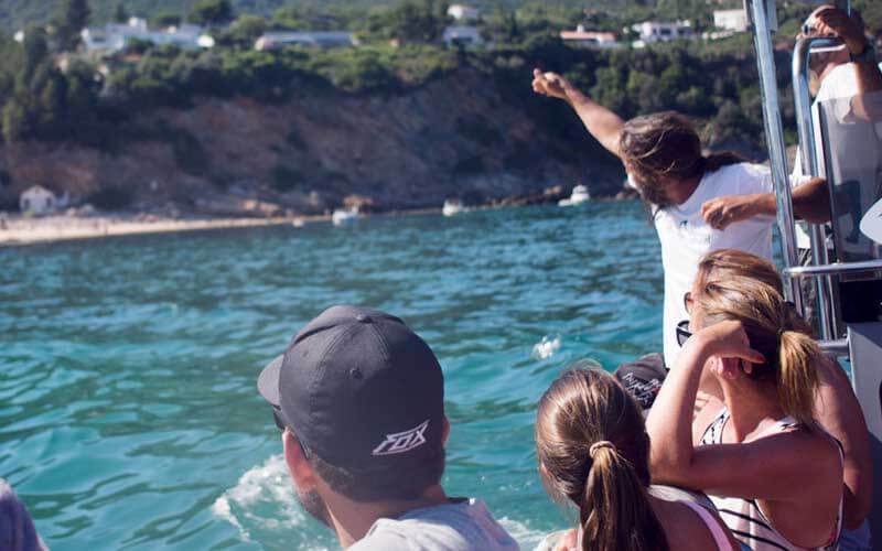 Learn Portuguese in Lisbon - Dolphins and Jeeps