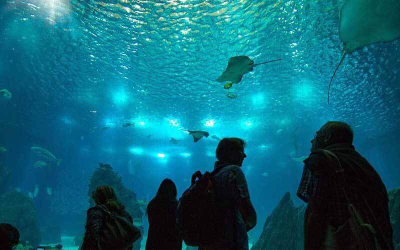 Learn Portuguese in Lisbon - Coming Up Soon