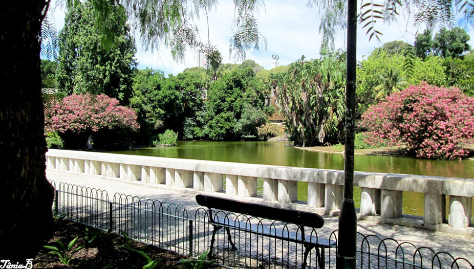 Parque Eduardo VII 4