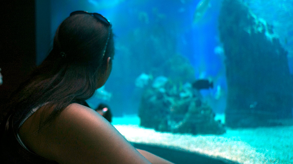 Portuguese Language School summer course foto 9