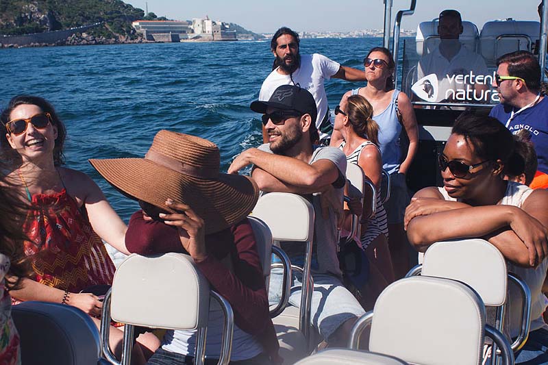 Portuguese Summer Course Lisbon - Dolphins