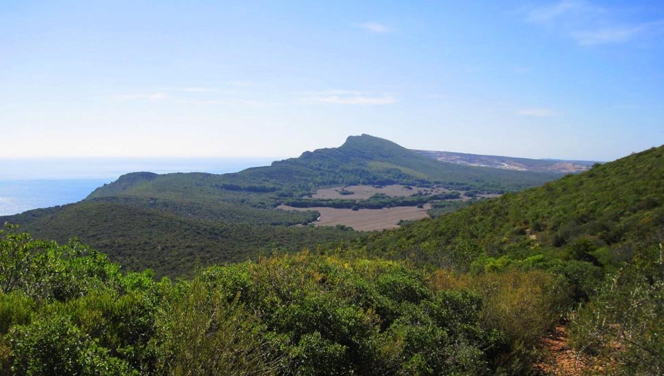 Portuguese Wine Course Foto 5