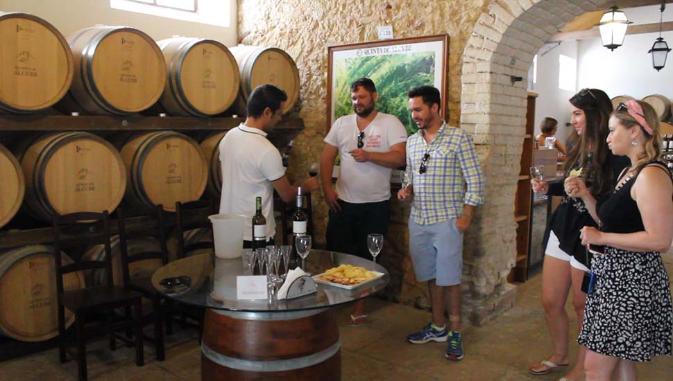 Portuguese Wine Course Foto 3