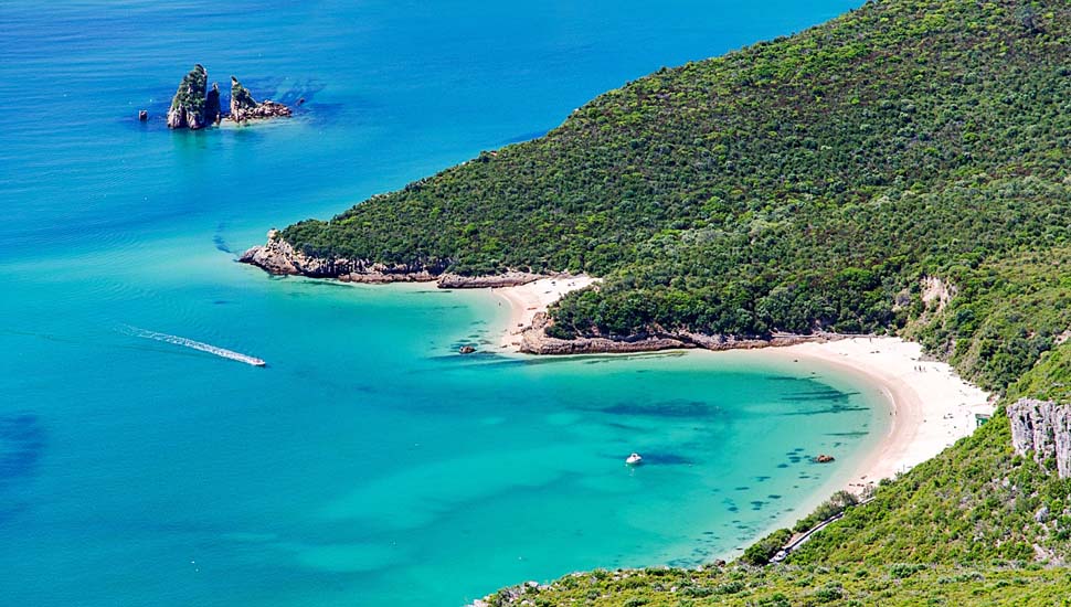 Portuguese Lessons Painting 6